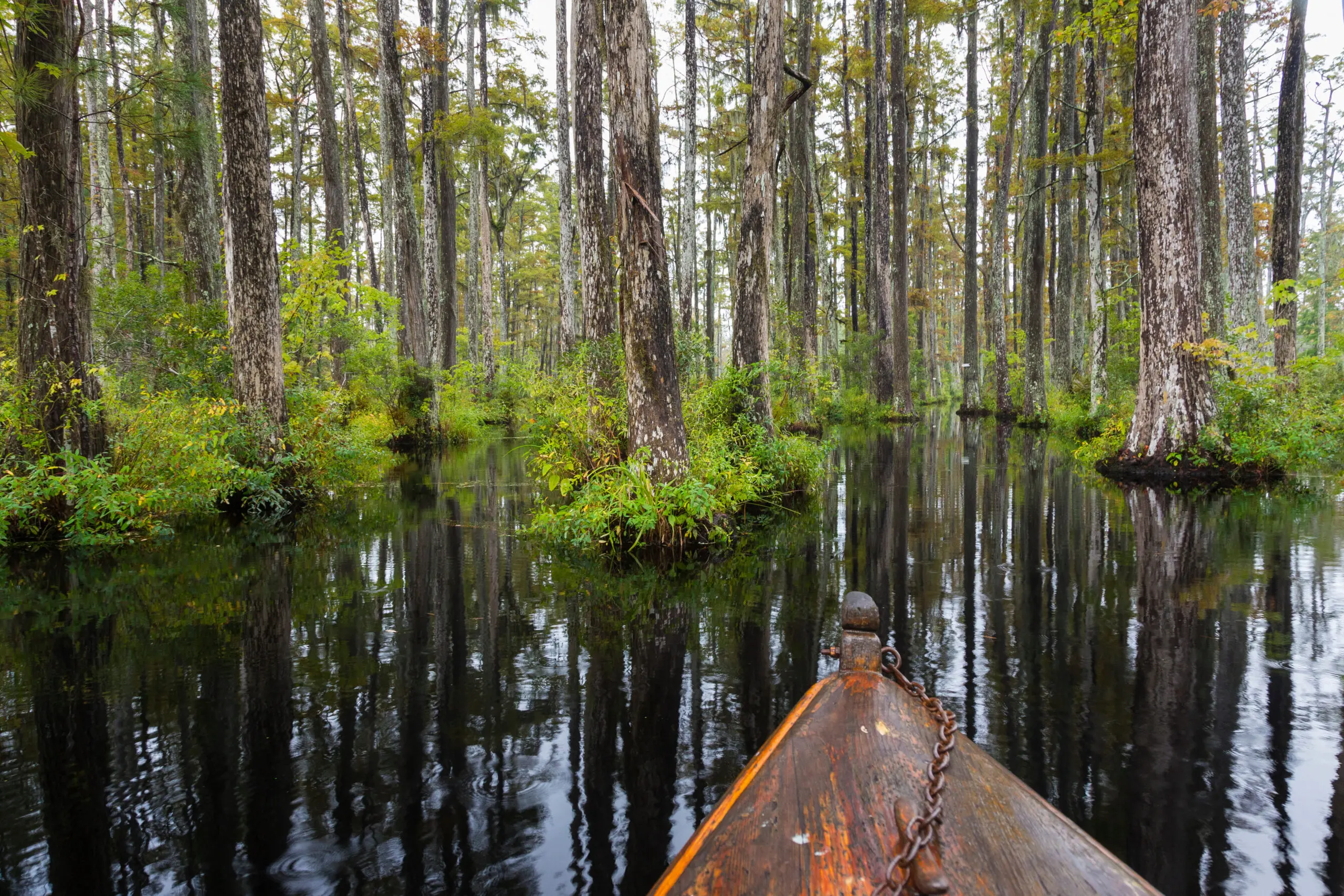 Cypress Gardens - Relaxing Activities